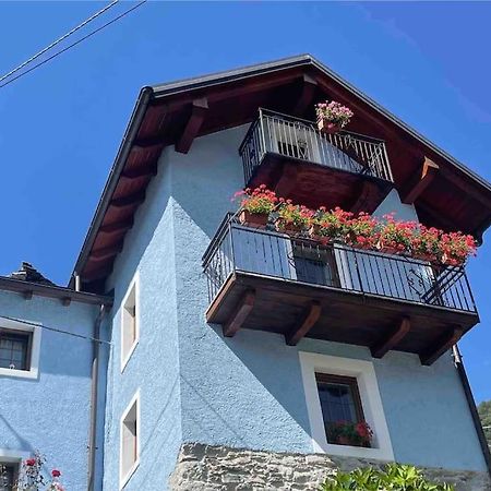 Casa Del Cios Calda E Intima Casetta Immersa Nel Verde Delle Montagne Alpe Basciumo Bagian luar foto