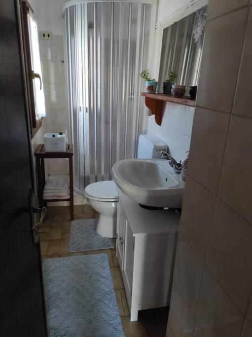 Casa Del Cios Calda E Intima Casetta Immersa Nel Verde Delle Montagne Alpe Basciumo Bagian luar foto