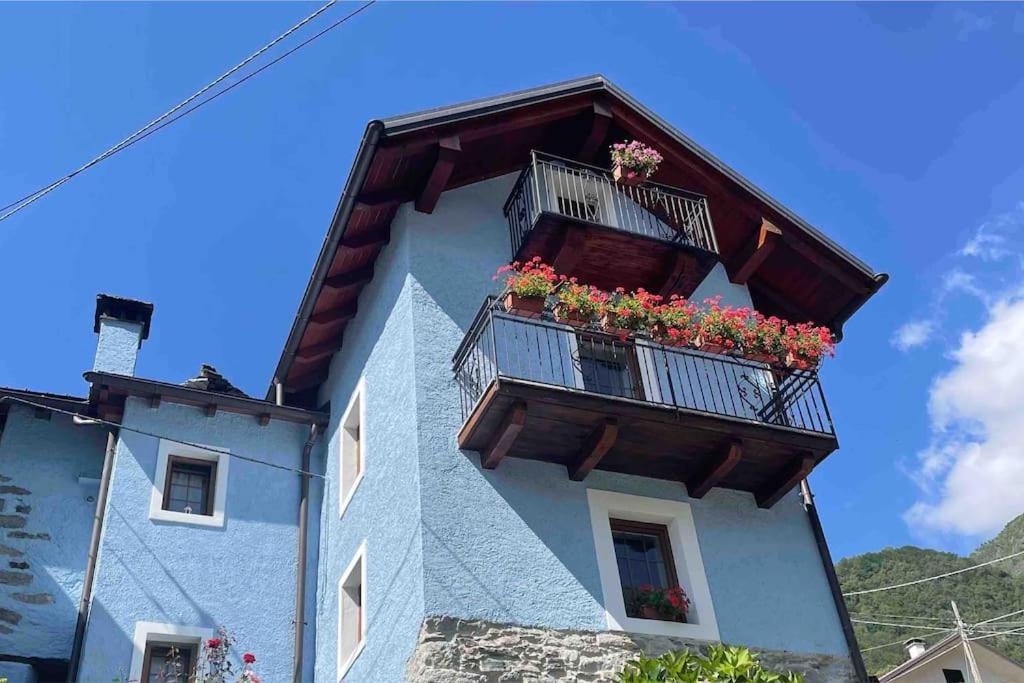 Casa Del Cios Calda E Intima Casetta Immersa Nel Verde Delle Montagne Alpe Basciumo Bagian luar foto