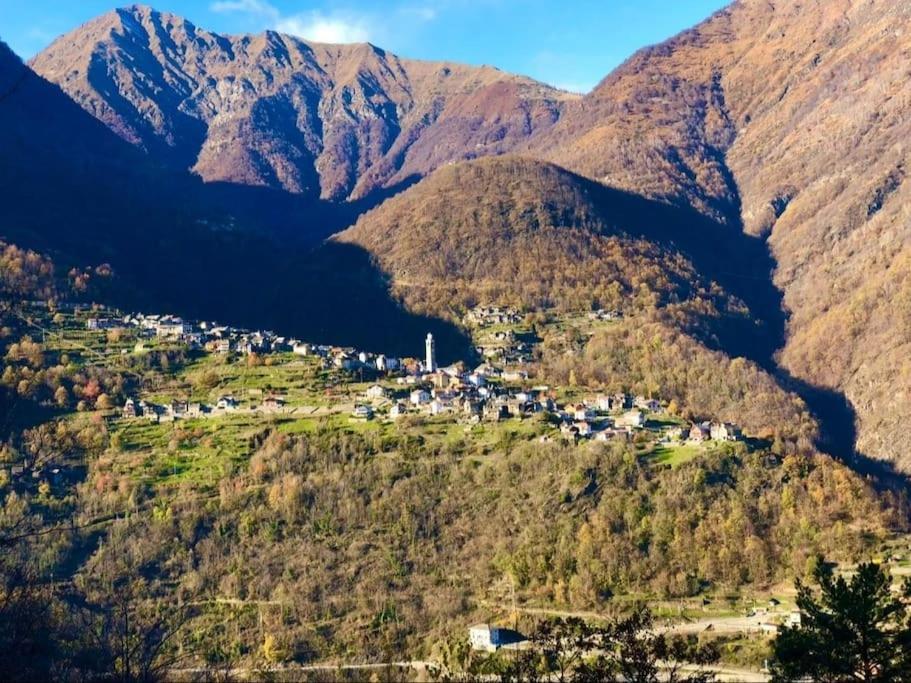 Casa Del Cios Calda E Intima Casetta Immersa Nel Verde Delle Montagne Alpe Basciumo Bagian luar foto