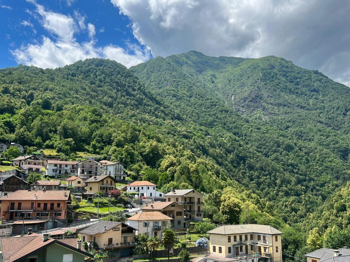Casa Del Cios Calda E Intima Casetta Immersa Nel Verde Delle Montagne Alpe Basciumo Bagian luar foto